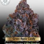 Green Apple Candy (Feminized) - Atlas Seed