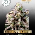 Green Apple Tangie (Feminized) - Atlas Seed