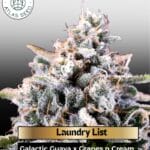 Laundry List (Feminized) - Atlas Seed