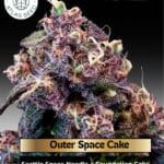 Outer Space Cake (Feminized) - Atlas Seed