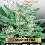 Papa Smurf FAST (Feminized) - Atlas Seed