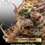 Sour Cherry Diesel (Feminized) - Atlas Seed