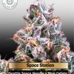 Space Station (Feminized) - Atlas Seed