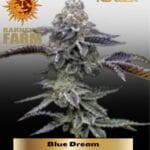 Blue Dream (Feminized) - Barney's Farm