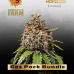 Gas Pack Bundle (Feminized) - Barney's Farm