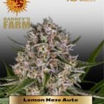Lemon Haze Auto (Feminized) - Barney's Farm
