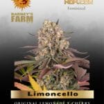 Limoncello (Feminized) - Barney's Farm