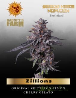 Zillions Feminized Seeds (space) Barney's Farm