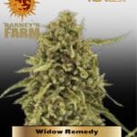Widow Remedy (Regular) - Barney's Farm