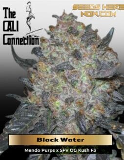 Black Water (Feminized) (space) Cali Connection