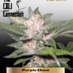 Purple Chem (Feminized) - Cali Connection