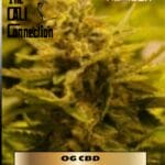 OG CBD (Feminized) - Cali Connection
