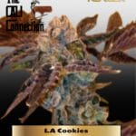 LA Cookies (Feminized) - Cali Connection