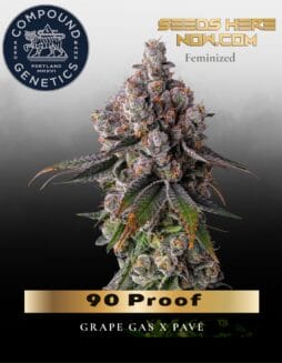 90 Proof Feminized Seeds (space) Compound Genetics