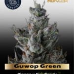 Guwop Green (Feminized) - Compound Genetics