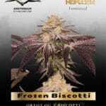 Frozen Biscotti (Feminized) - Dutch Passion