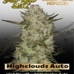 Highcloudz Auto (Feminized) - Greenhouse Seed Co.