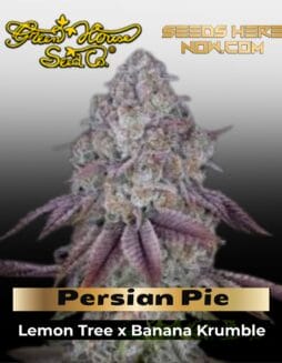Persian Pie (Feminized) (space) Greenhouse Seed Co.