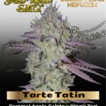 Tarte Tatin (Feminized) - Greenhouse Seed Co.