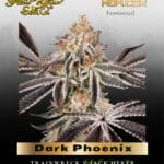 Dark Phoenix (Feminized) - Greenhouse Seed Co.