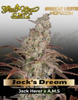 Jack's Dream (Feminized) (space) Greenhouse Seed Co.