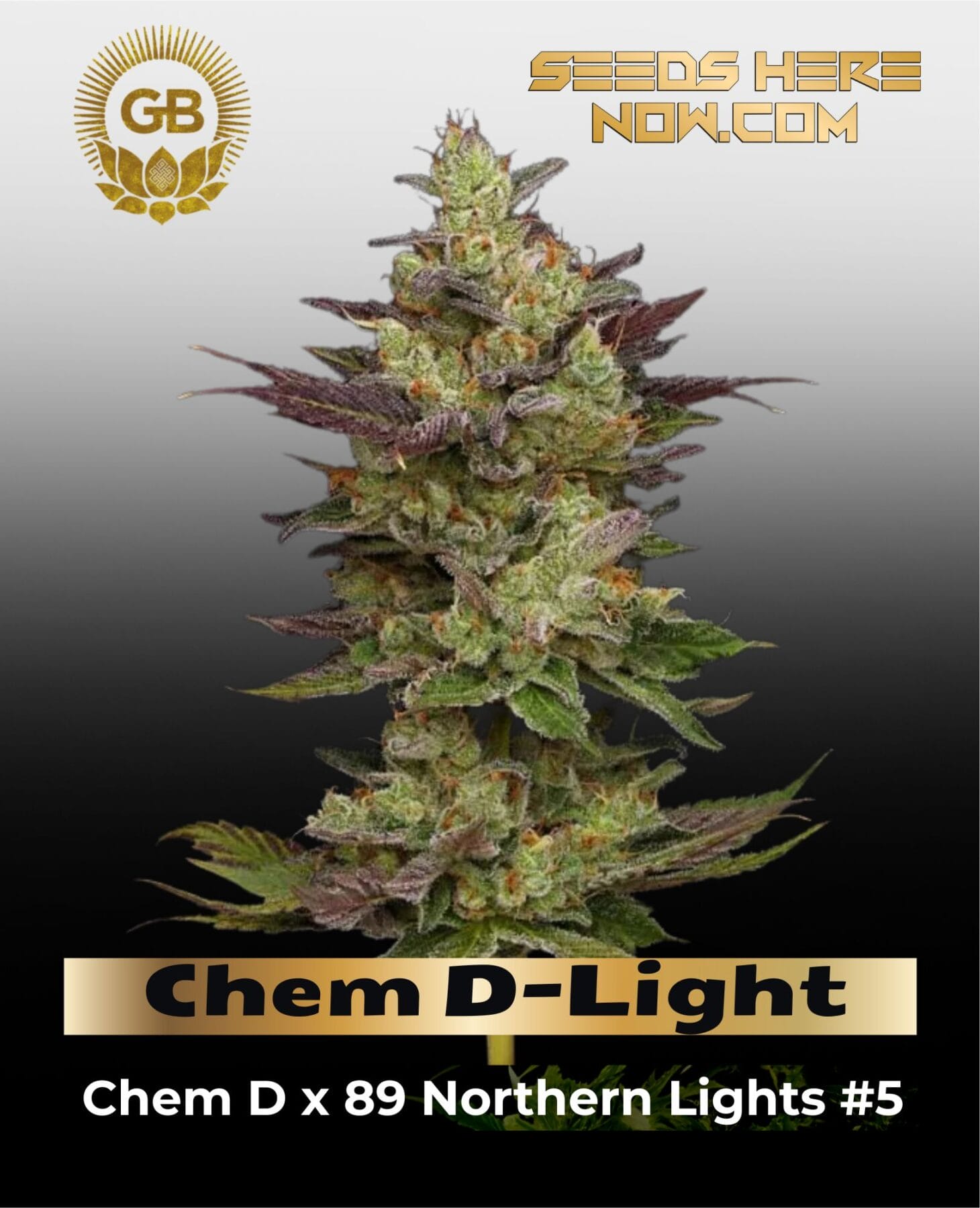 Chem D-Light (Regular) - Green Bodhi