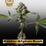 Kosher Afghan Kush (Regular) - Green Bodhi