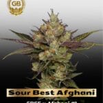Sour Best Afghani (Regular) - Green Bodhi