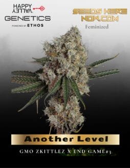 Another Level (Feminized) (space) Happy Valley Genetics