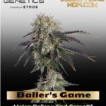Baller's Game (Feminized) - Happy Valley Genetics
