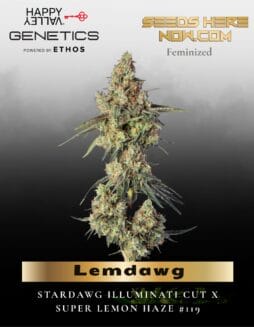Lemdawg Feminized Seeds (space) Happy Valley Genetics