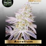 Aurelium (Feminized) - In House Genetics