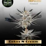 Cakes N Cream (Feminized) - In House Genetics