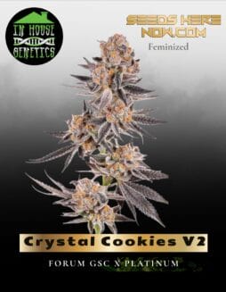 Crystal Cookies V2 (Feminized) (space) In House Genetics