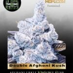 Double Afghani Kush (Feminized) - In House Genetics
