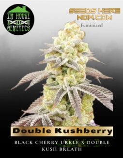 Double Kushberry (Feminized) (space) In House Genetics