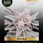 Jamz (Feminized) - In House Genetics