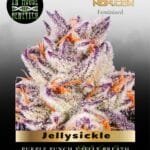Jellysickle (Feminized) - In House Genetics