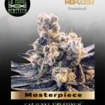 Masterpiece (Feminized) - In House Genetics