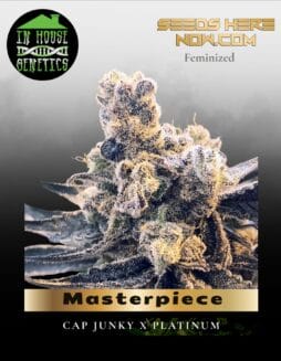Masterpiece (Feminized) (space) In House Genetics