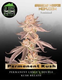 Permanent Kush (Feminized) (space) In House Genetics