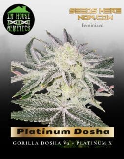 Platinum Dosha (Feminized) (space) In House Genetics
