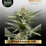Platinum IX (Feminized) - In House Genetics