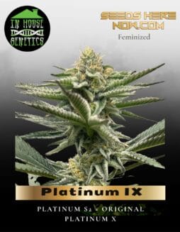 Platinum IX (Feminized) (space) In House Genetics