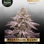 Platinum Zushi (Feminized) - In House Genetics