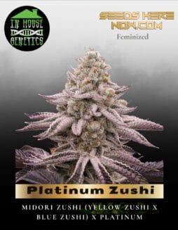 Platinum Zushi (Feminized) (space) In House Genetics
