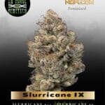 Slurricane IX (Feminized) - In House Genetics