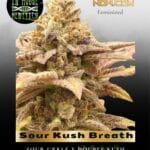 Sour Kush Breath (Feminized) - In House Genetics
