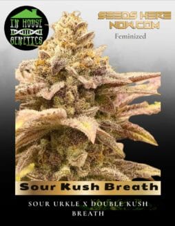 Sour Kush Breath (Feminized) (space) In House Genetics