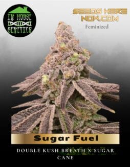 Sugar Fuel (Feminized) (space) In House Genetics